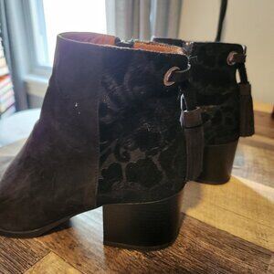 Black Shoe Embassy Booties